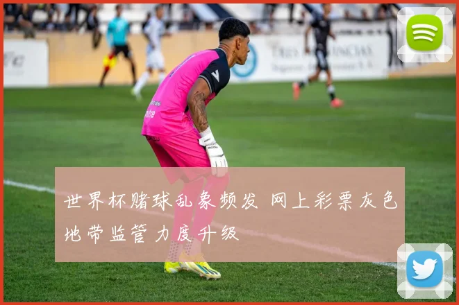 世界杯赌球乱象频发 网上彩票灰色地带监管力度升级