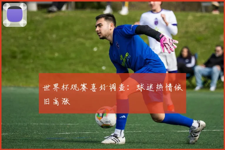 世界杯观赛喜好调查：球迷热情依旧高涨