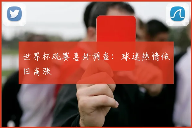 世界杯观赛喜好调查：球迷热情依旧高涨