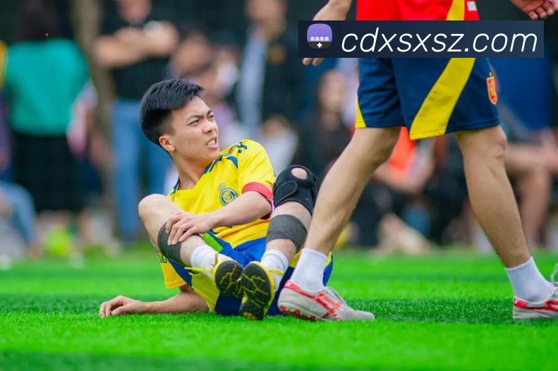 多媒体互动体验